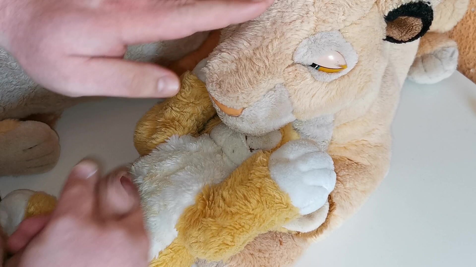 Plush simba lion cum - ThisVid.com