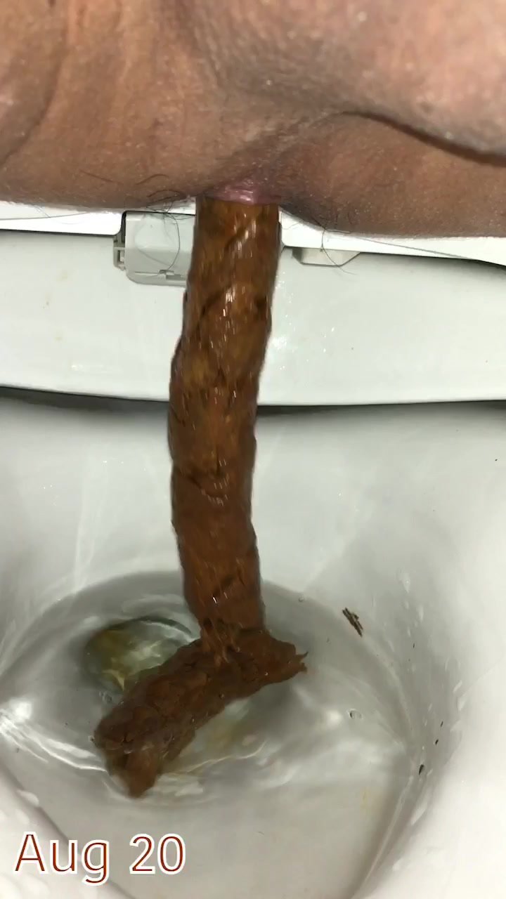 Monthly poop compilation (August)