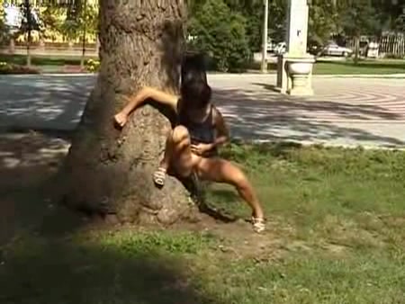 public piss while against a tree