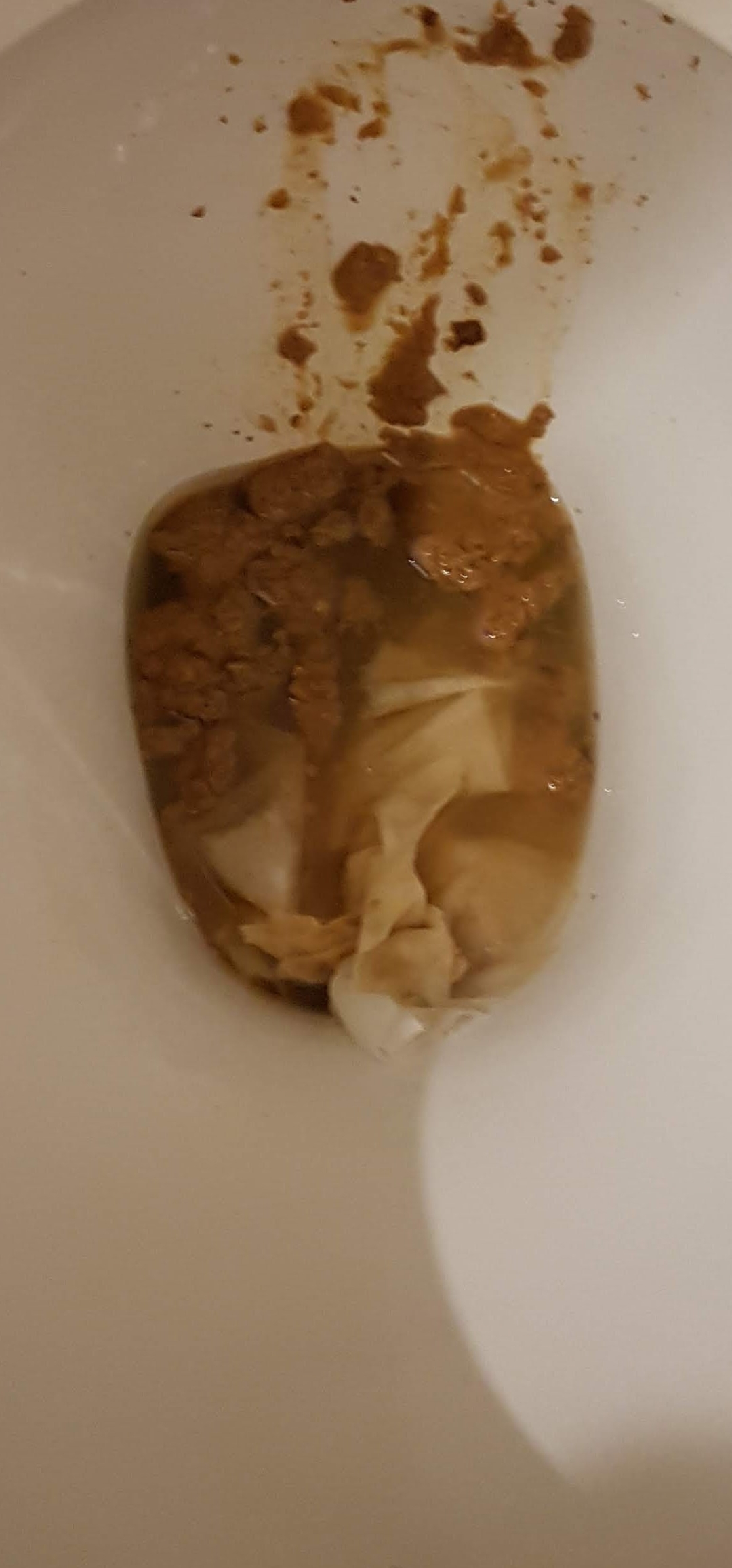 Desperate Loose shit before work on my mates loo