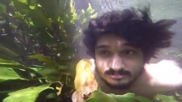 Underwater barefaced indian