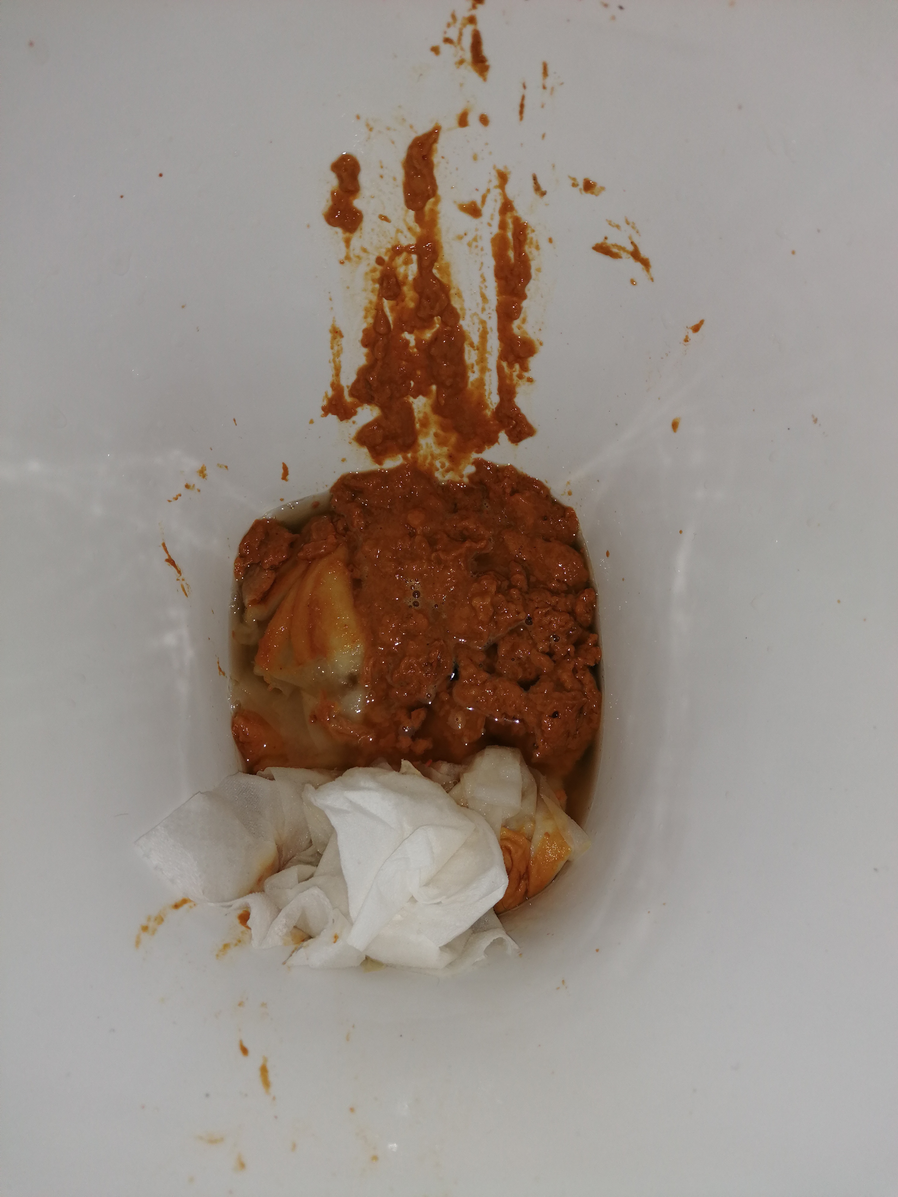 Second bad stomach curry shit on my mates loo