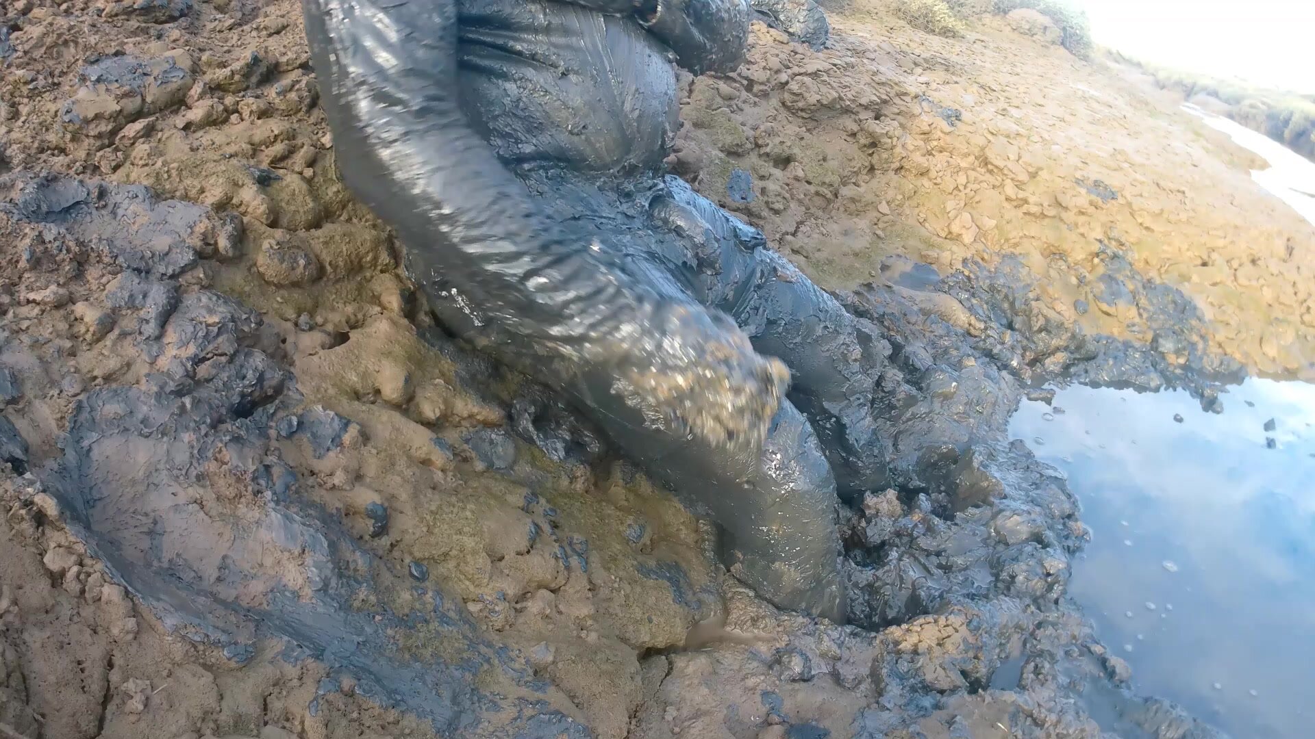 rugby gear muddy wank p2