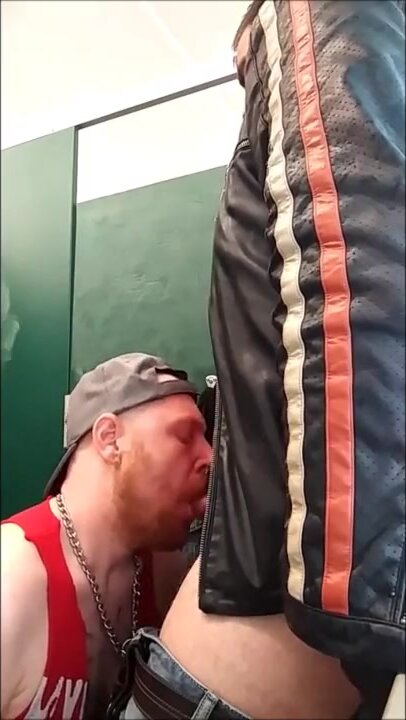 Ginger pig sucking in stall