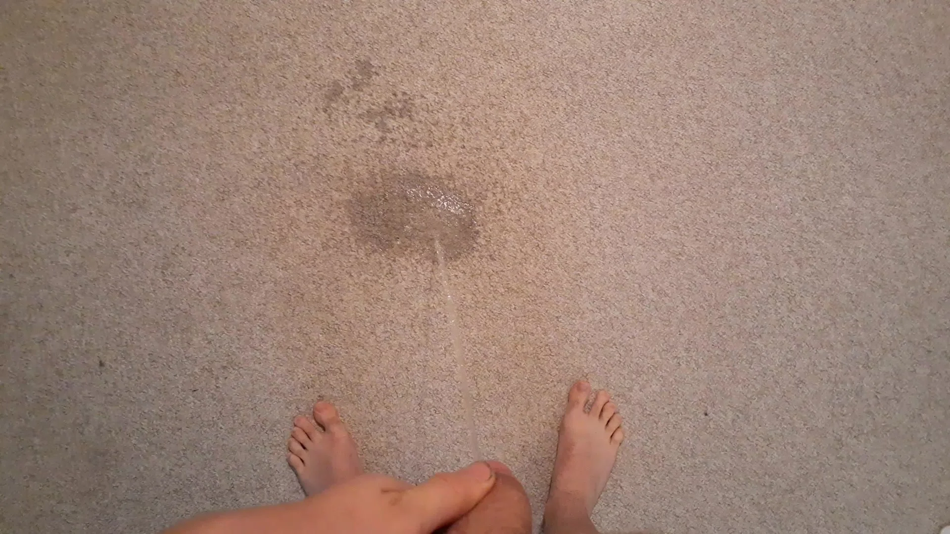 Long Piss On Carpet ThisVidcom