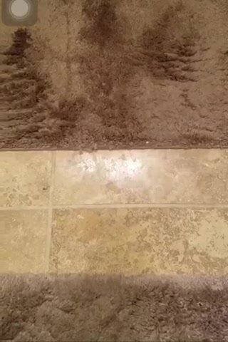 Girl shitting on toilet - video 3