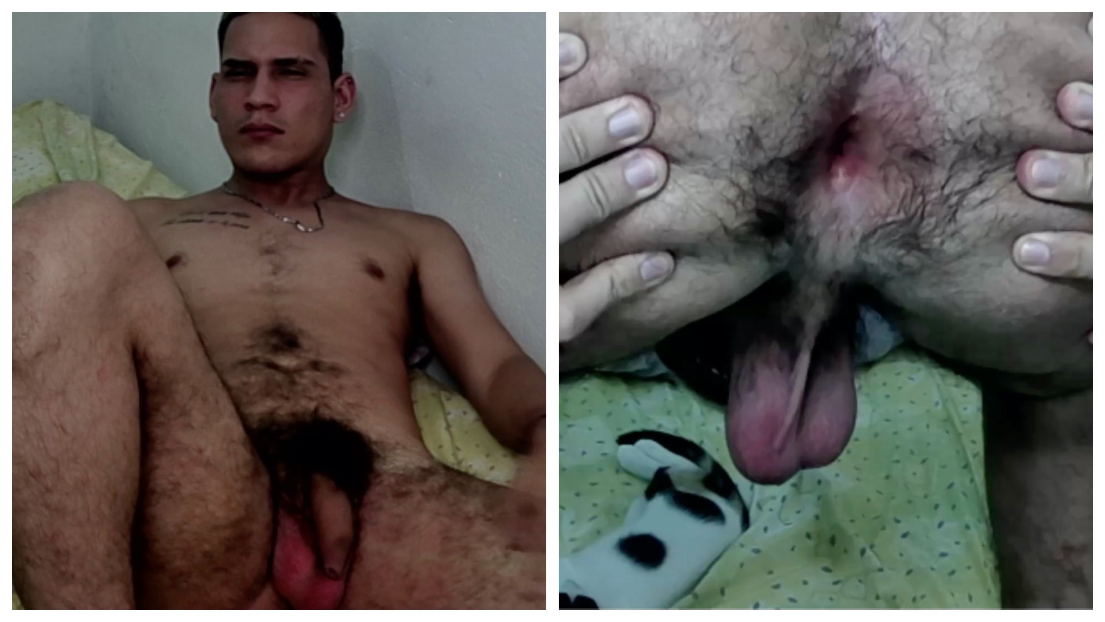 Manly hairy spreader