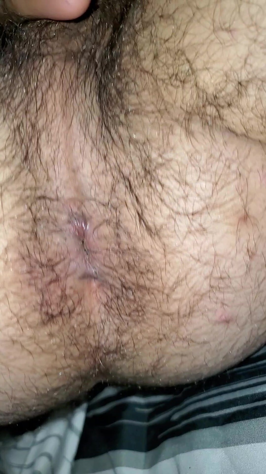 Sniff my hairy hole