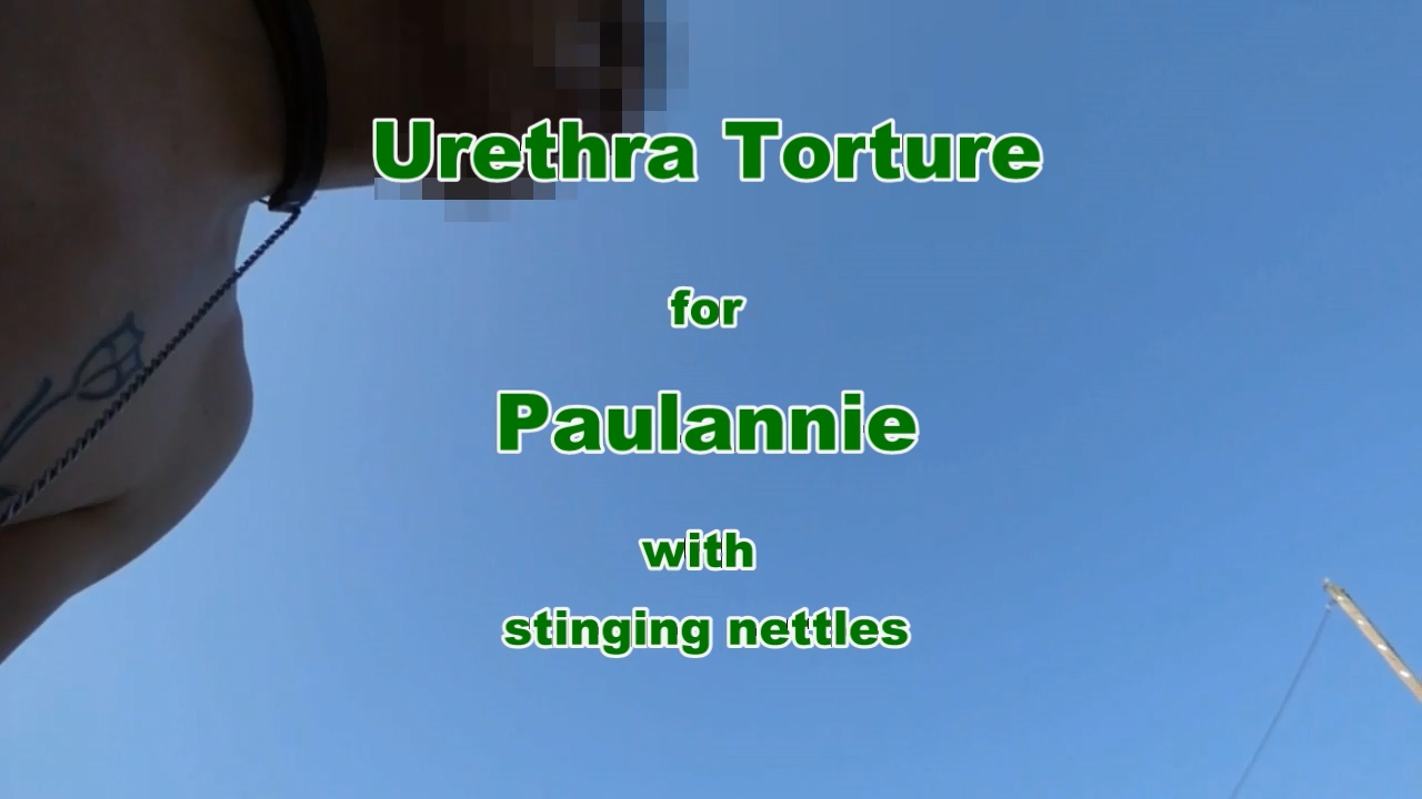 Stinging netlle inside urethra