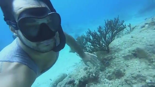 Cute freediver breatholding underwater