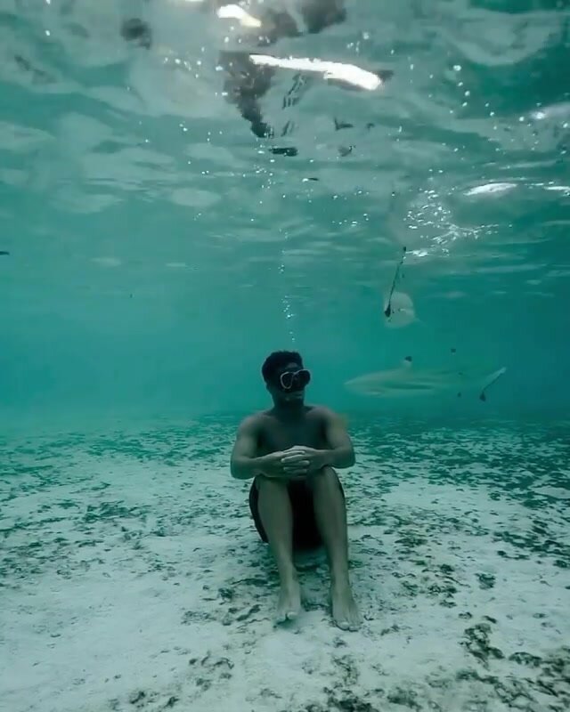 Breatholding underwater among sharks