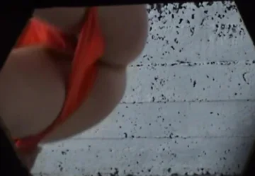 Beach WC pee voyeur - bikini girl pees & plenty of flies! - ThisVid.com