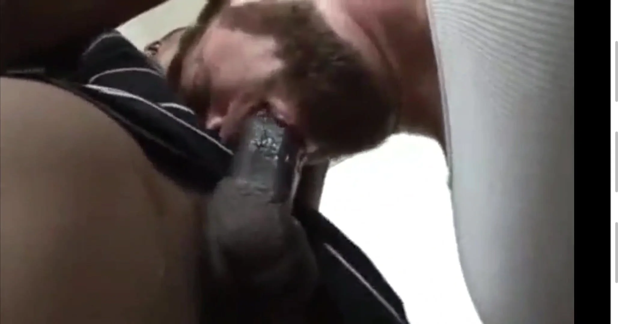 Cock Sucking Clips Cock Sucking Clips