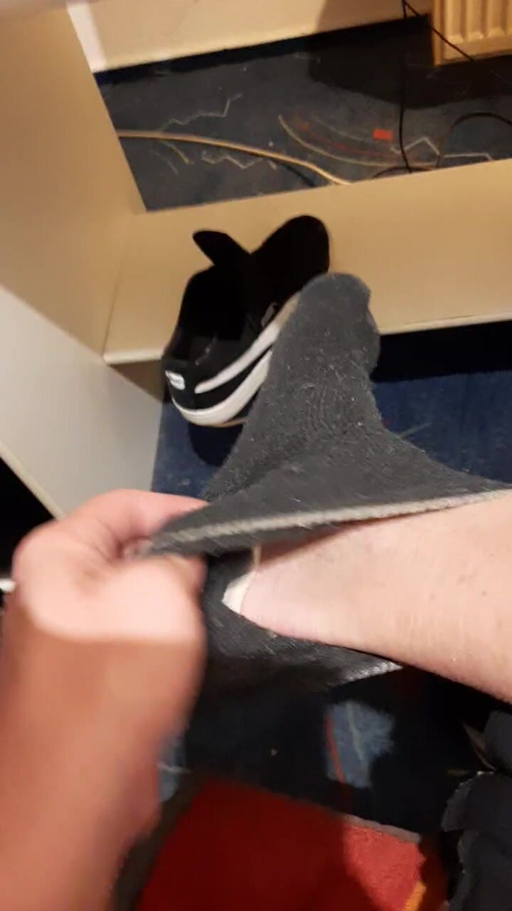 Video 2 - video 24