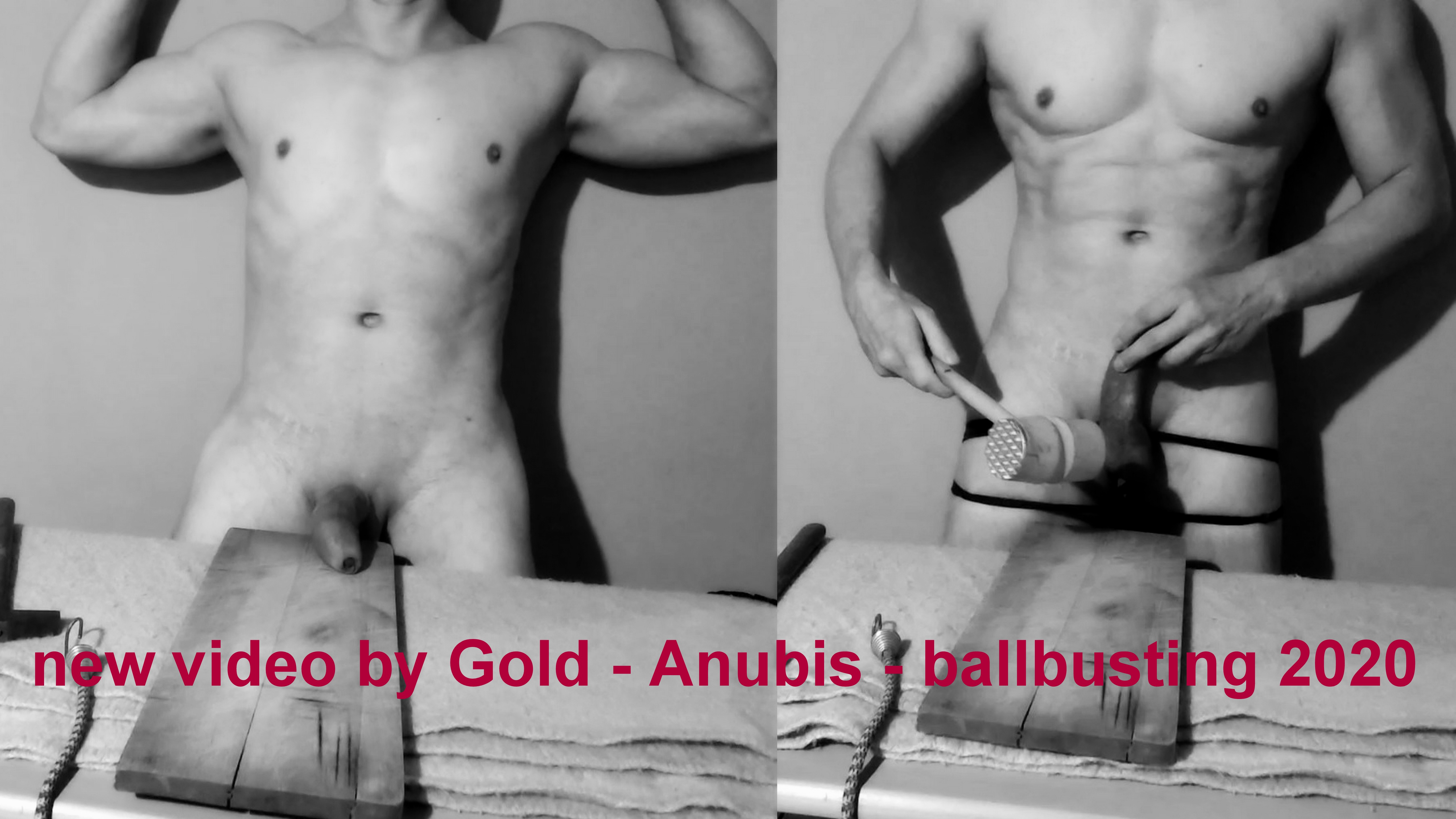 new  video Gold-Anubis 2020 - ballbusting