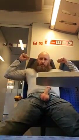 Bearded pig nuts load on train (dupe)