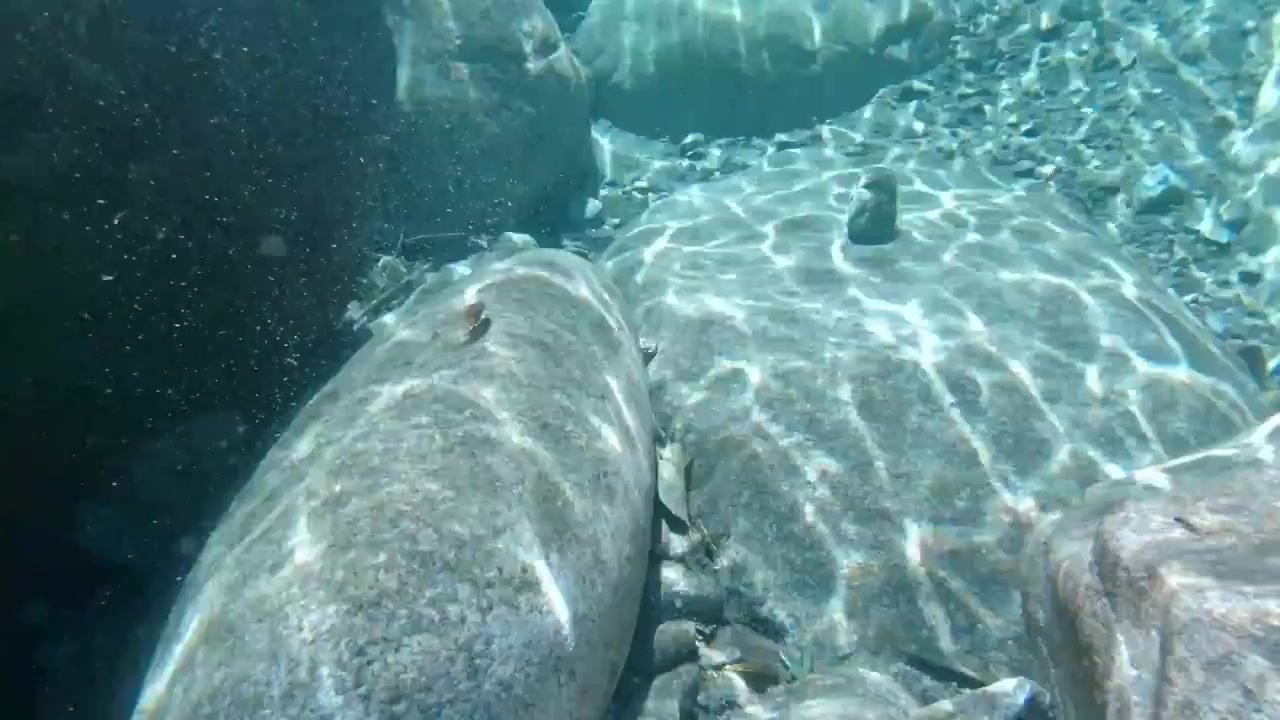 wanking in the lake