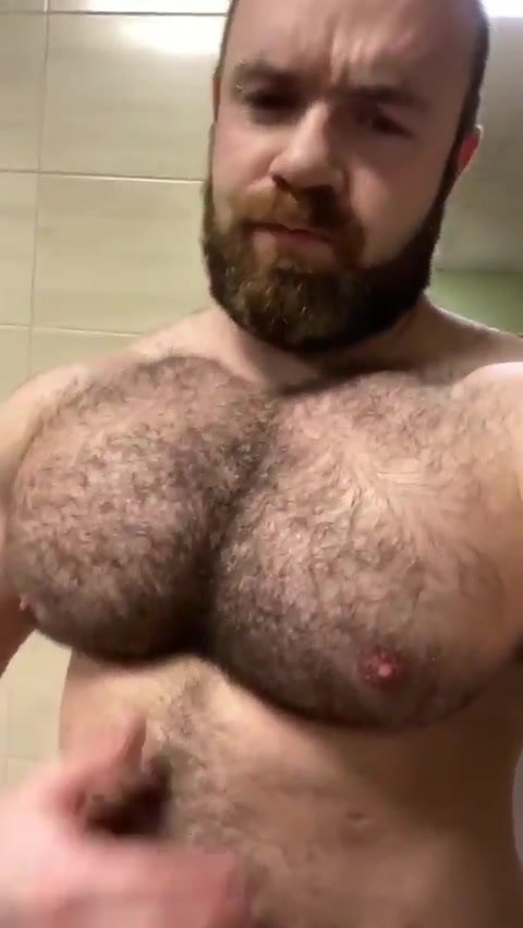 Lovely hairy bouncy man tits