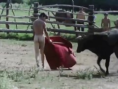Naked Bullfighting
