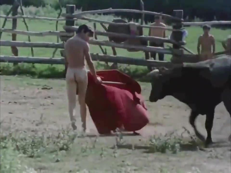 Naked Bullfighting