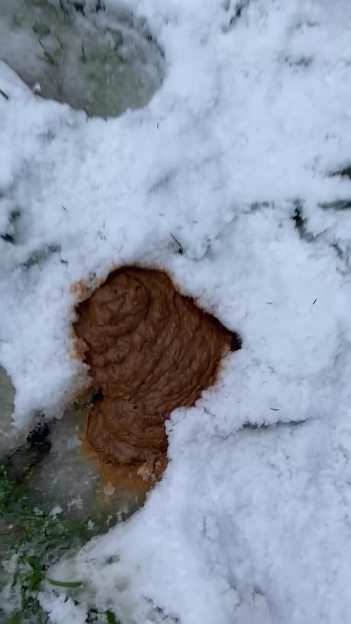 Soft Snow poo