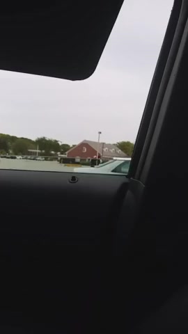 Public stroker