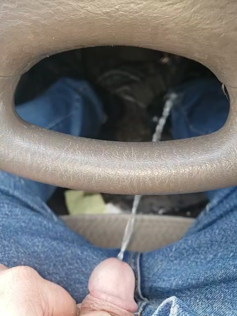 Pissing in my car