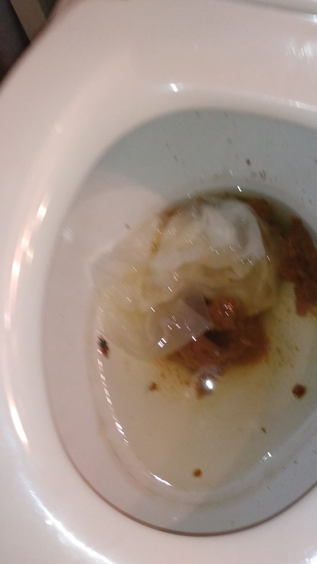 A tiny in my toilet? Oh well. (PT.2)