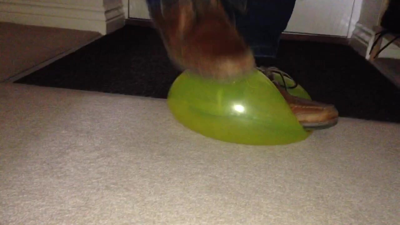 Balloons stomp