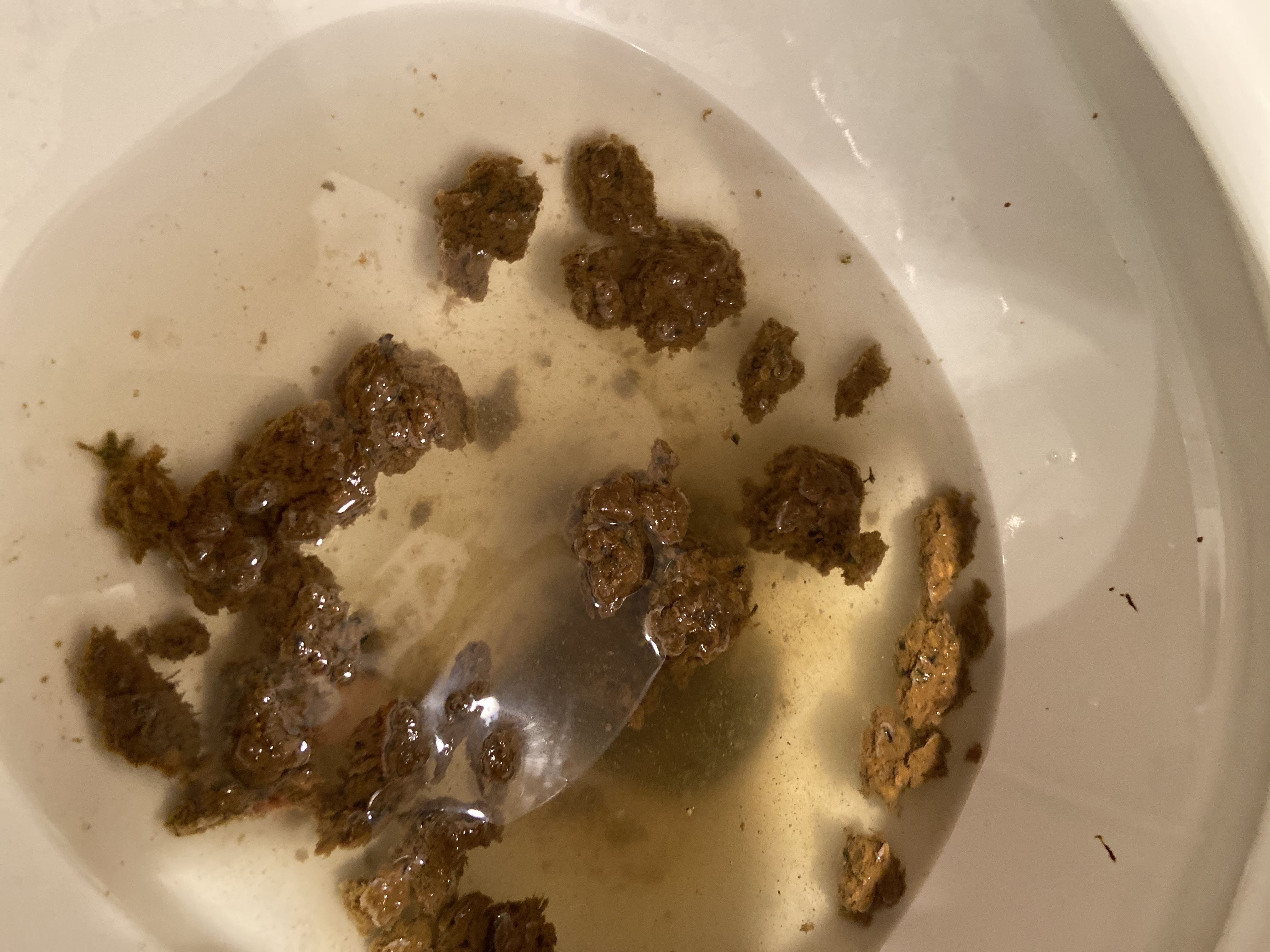 Poop after huge meal at a Mexican restaurant