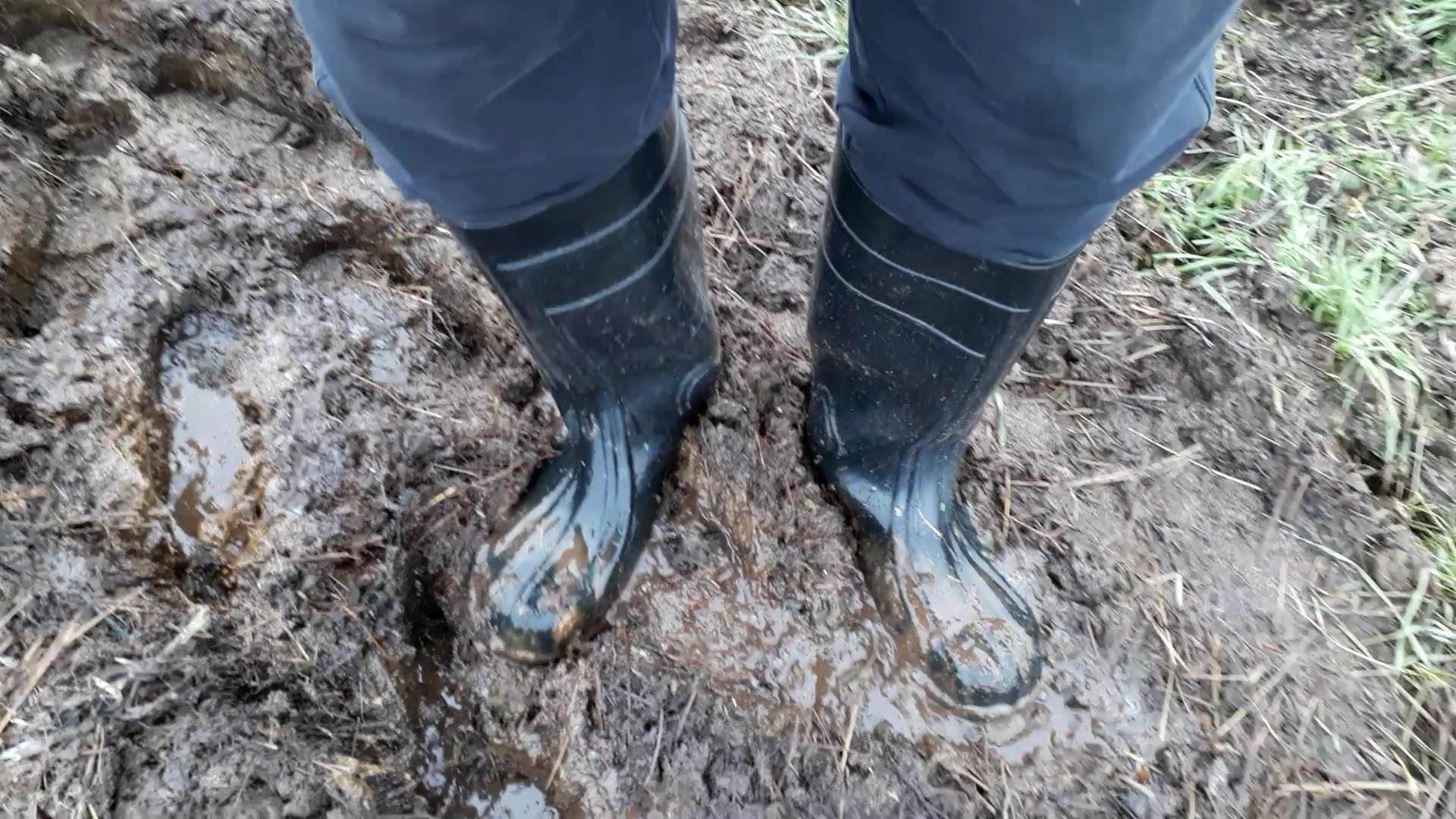 Rubber boots vs manure - video 3