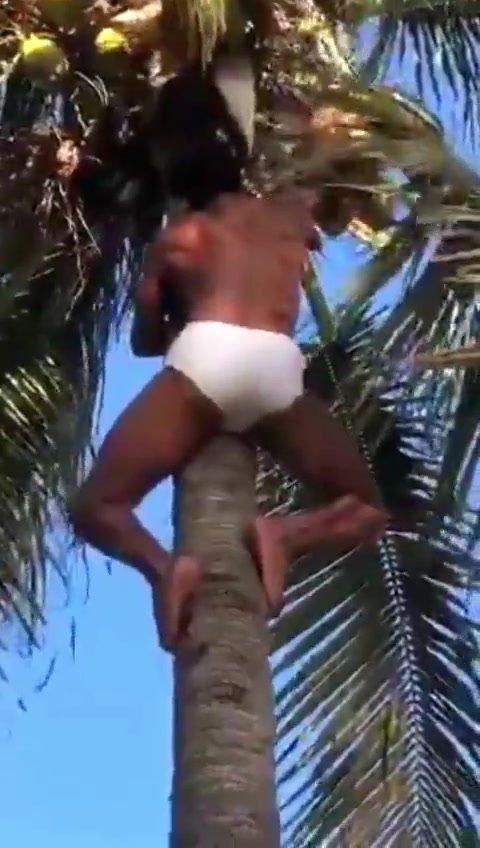 black god climbing the tree
