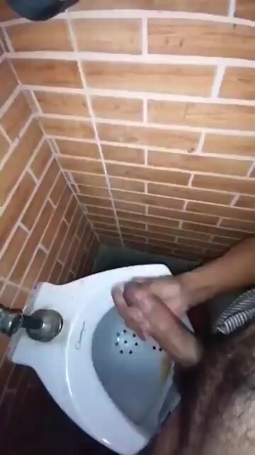 public toilet - video 54