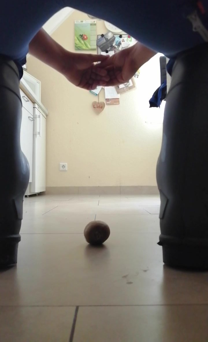 Kiwi Stomp