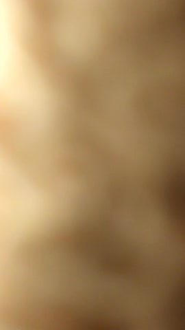 suck n cum