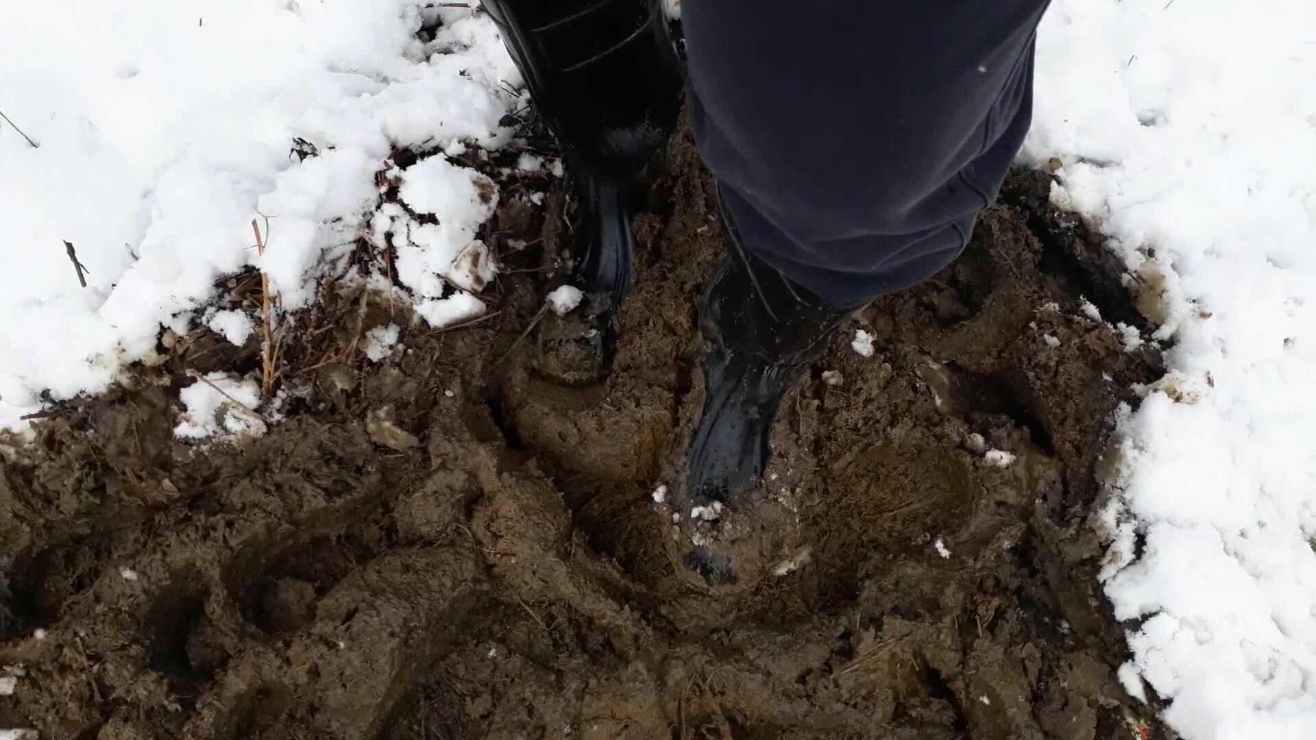 Rubber boots vs manure - video 4
