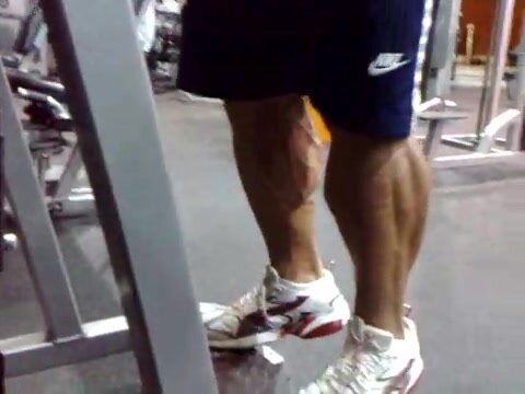 Calves Raises