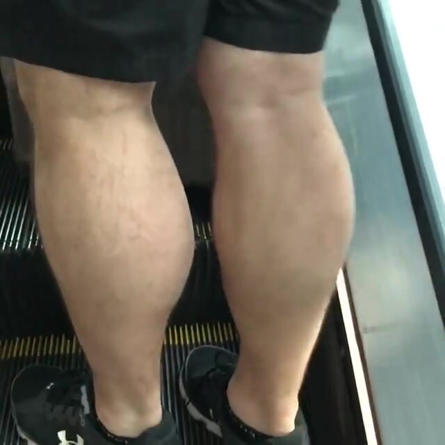 Street calves - video 2