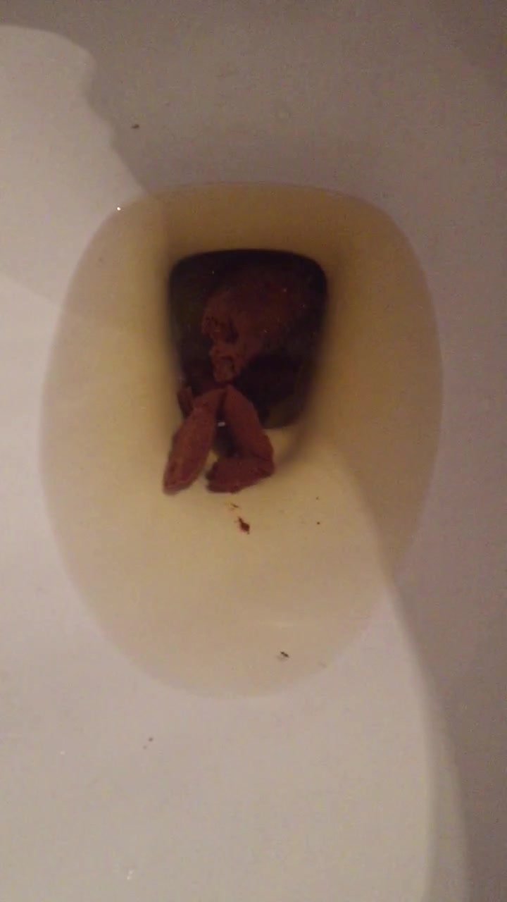 Ex girlfriends poop