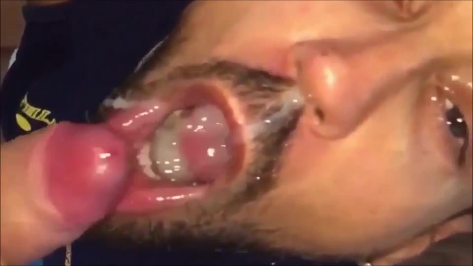 A pussy's tongue is designed to lap up cream