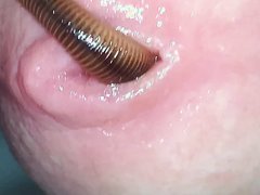 Worm play - video 2