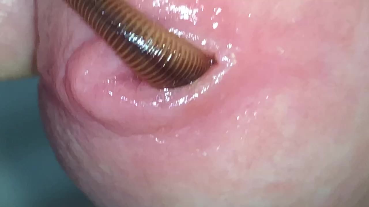 Worm play - video 2