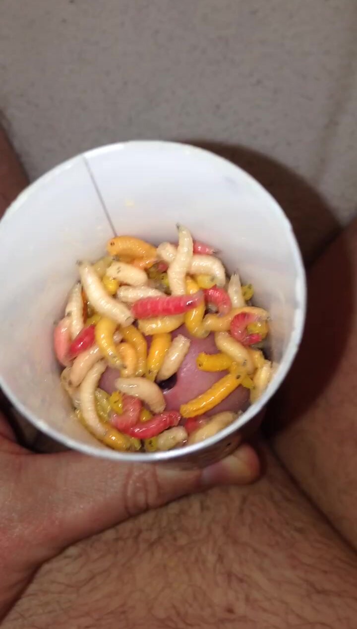 Colourful maggots wriggling on my dick