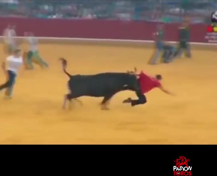 Bull Rips Man's Clothes Off