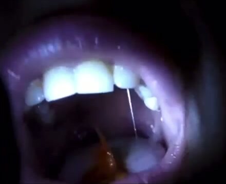 Swallow fish - video 3