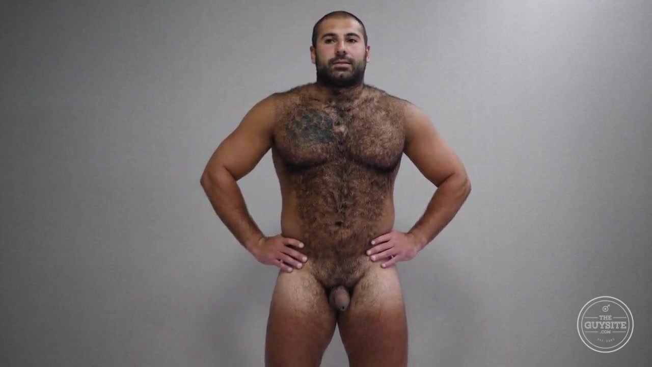 Hairy Muscle Bear Asshole Close-Up