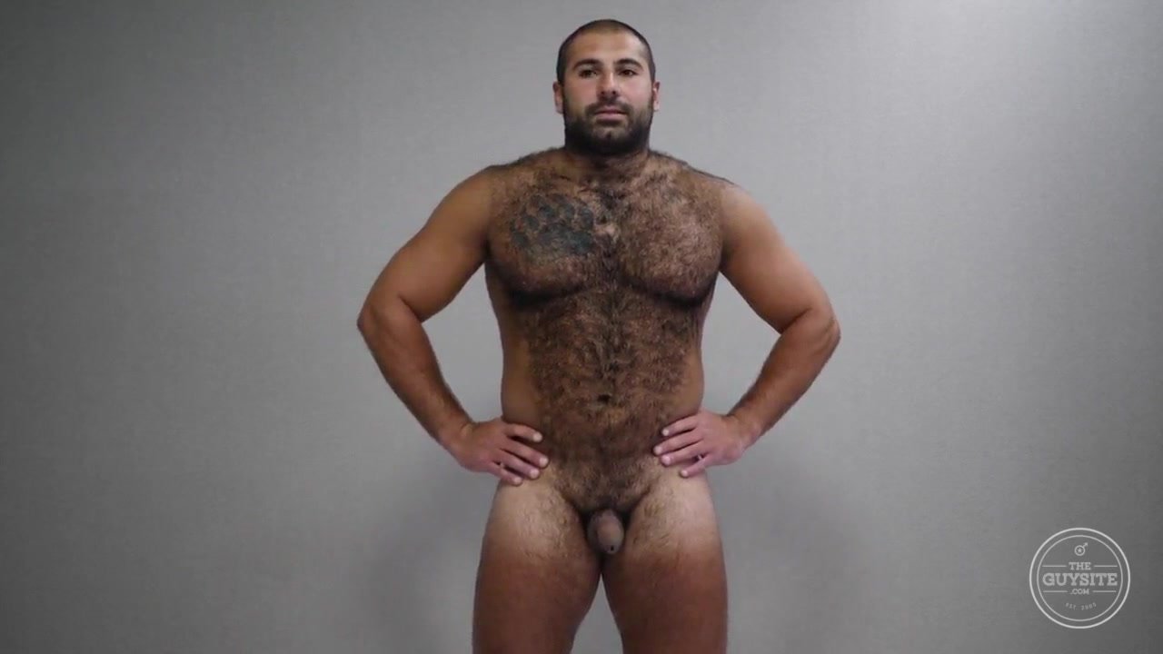 Hairy bear nude