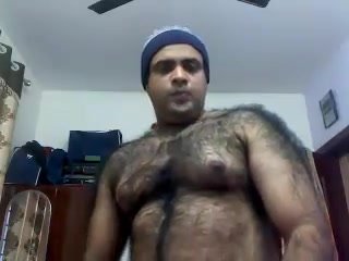 Very hairy Indian bear