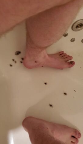 Bug crushing barefoot