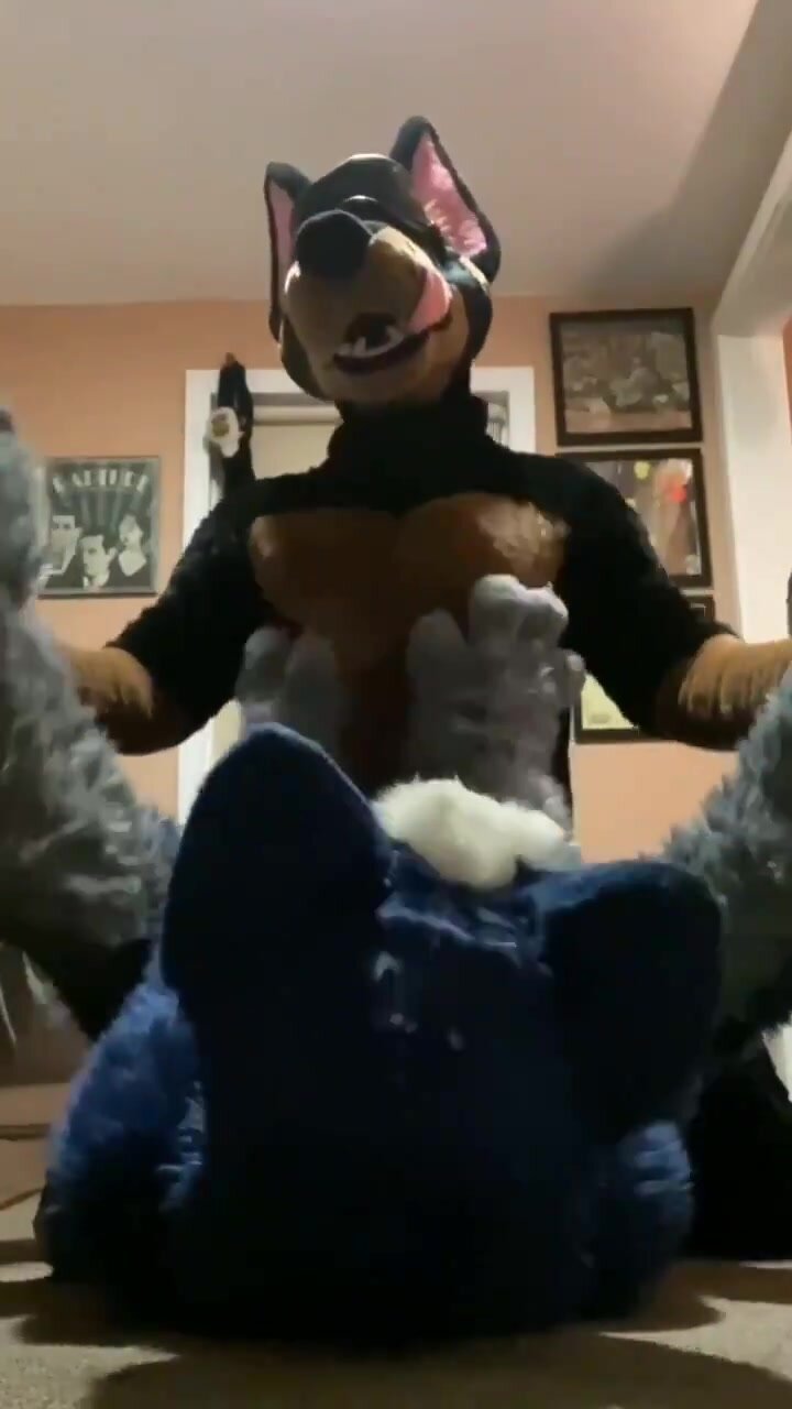 Doberman fuck #2